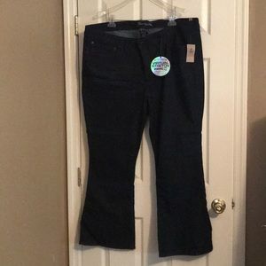 Torrid Slim Boot Jean